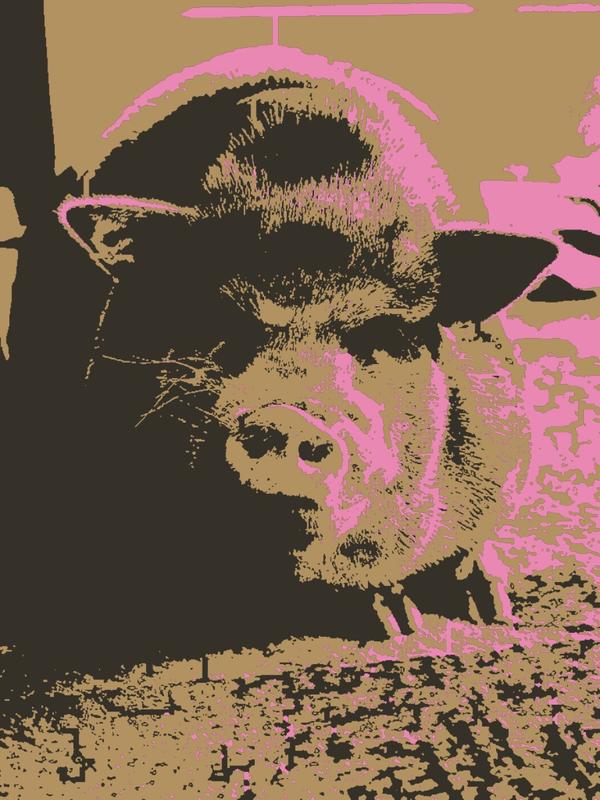 Barney Content Piggy