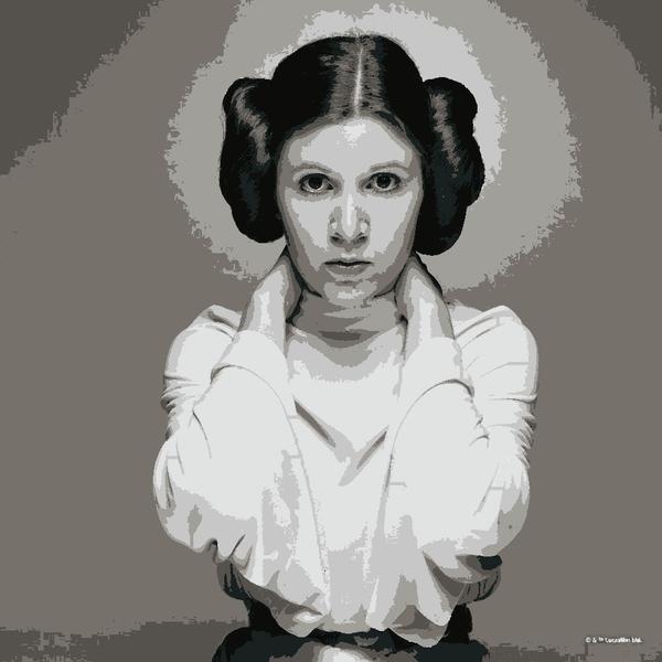 Rebel Princess Leia