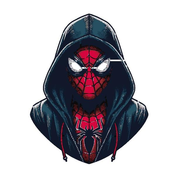Neighbourhood Spider