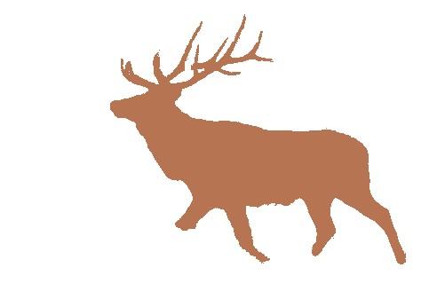 Elk Silhouette