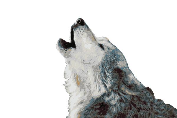 Wolf Howling 2