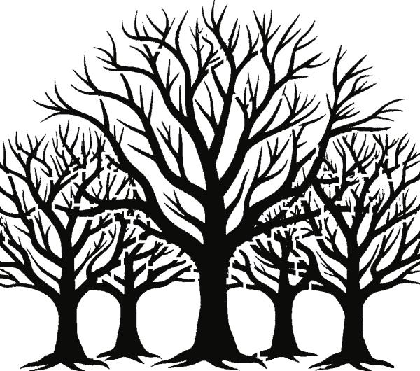 Naked Treeline