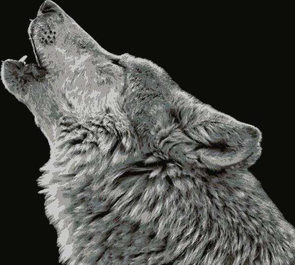Howl at the moon