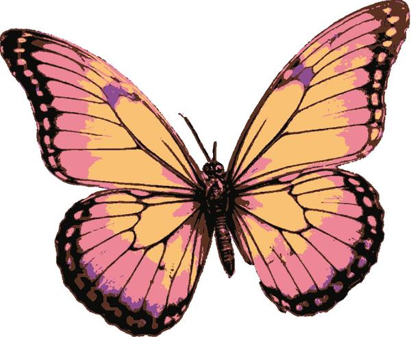 Sunset Butterfly