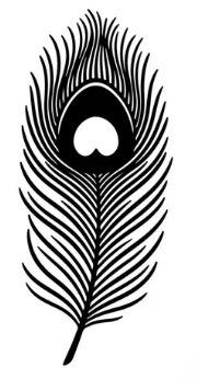 Peacock Plume