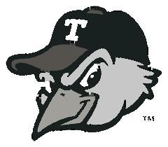 T-Bird Mascot