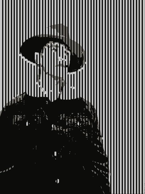Optical Illusion