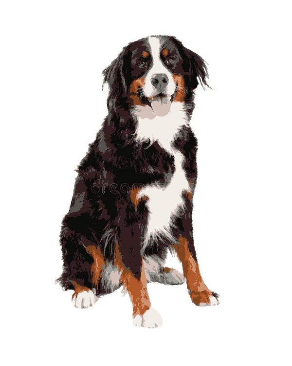 Doggy