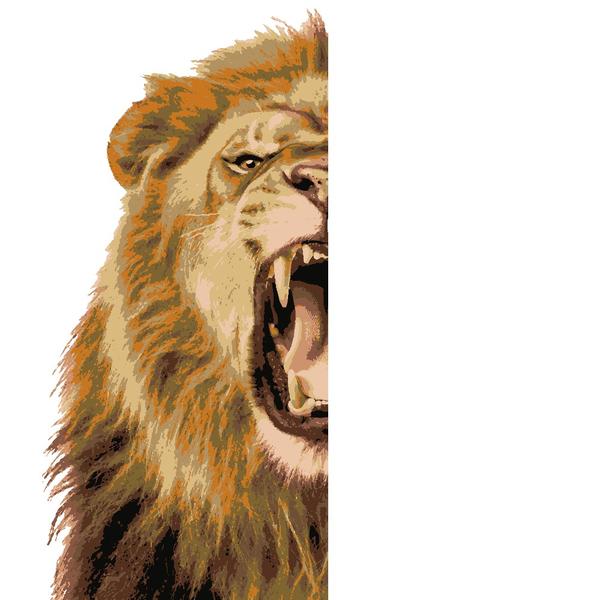 Lion Half Head